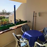 Fuerteventura Bouganville