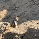 Fuerteventura Bouganville Apartman Costa de Antigua